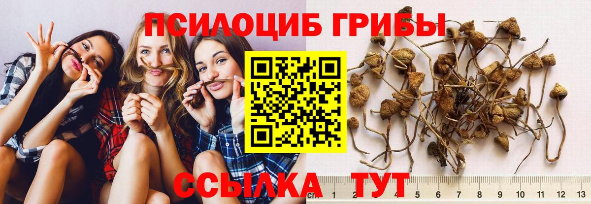 Псилоцибиновые грибы мухоморы  Вход с VPN  Обнинск 